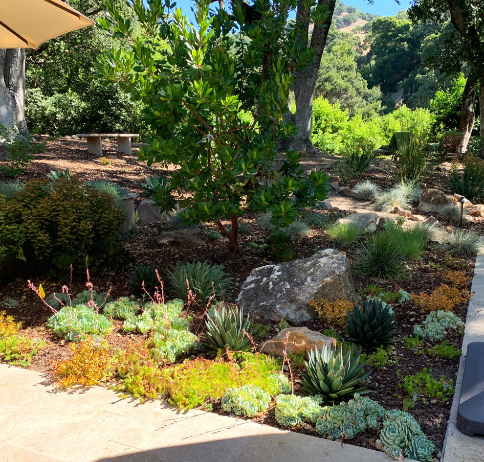 This is an example of an expansive mediterranean back xeriscape full sun garden for summer in San Francisco with a rockery and natural stone paving.