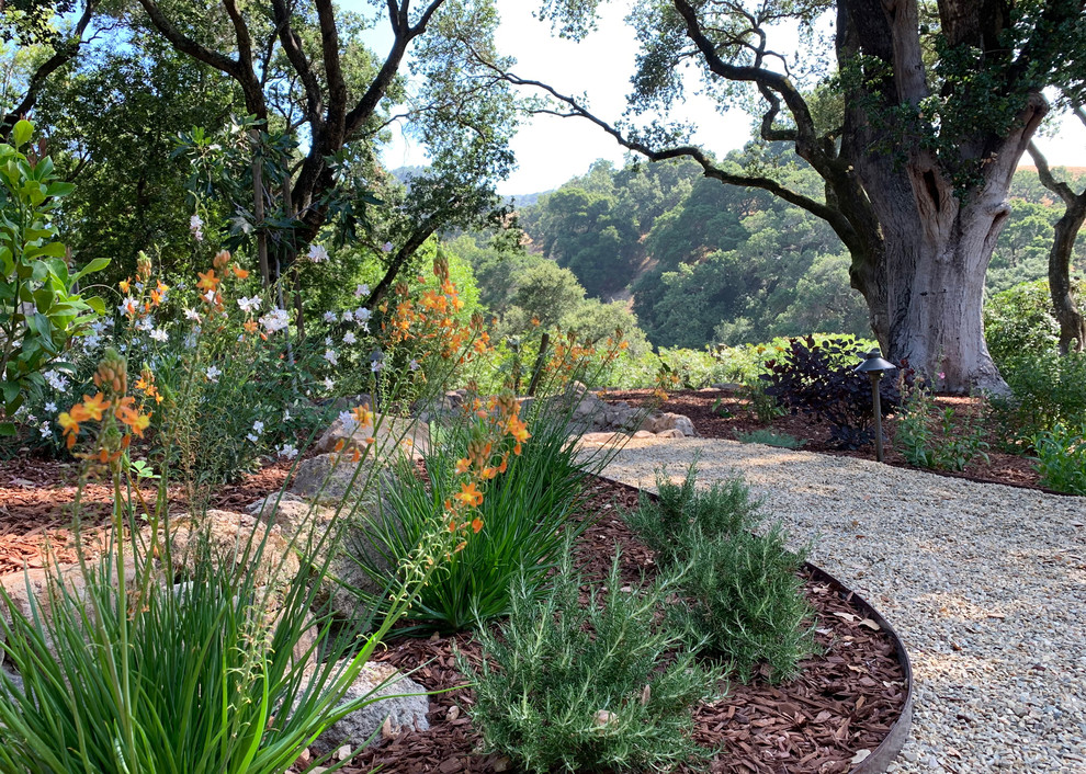 На фото: огромный летний засухоустойчивый сад на заднем дворе в стиле рустика с садовой дорожкой или калиткой, полуденной тенью и мульчированием с
