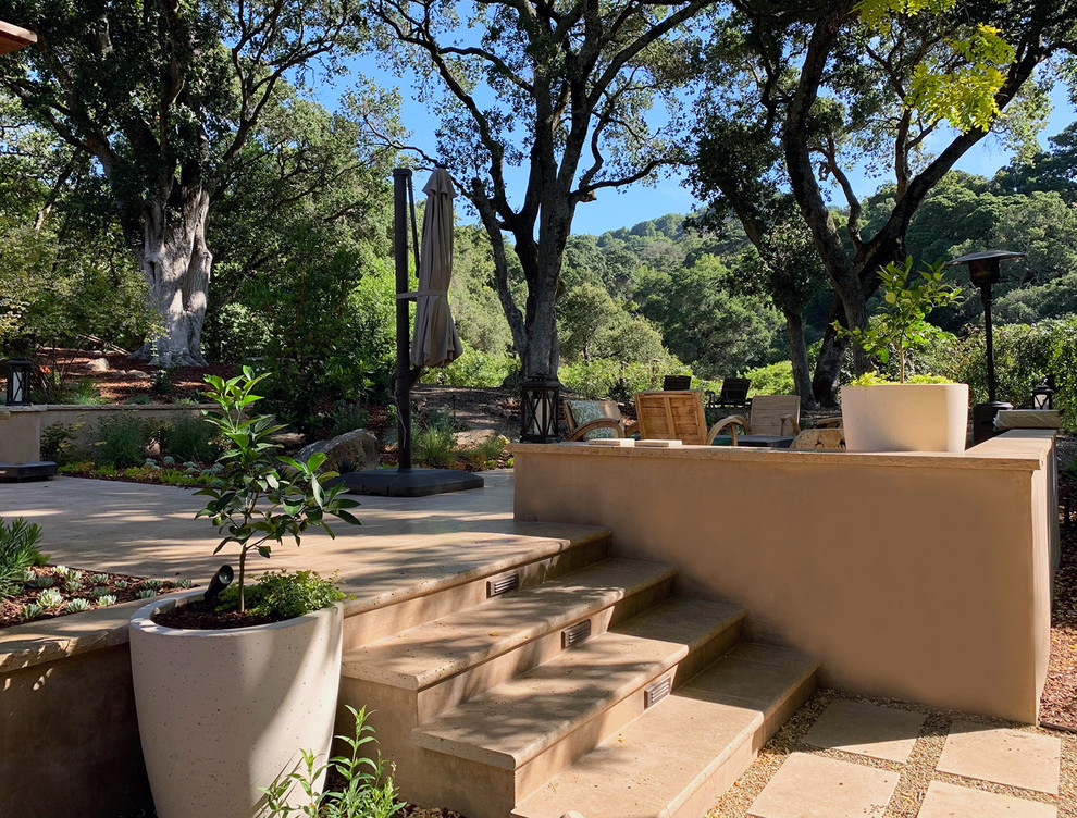 Esempio di un ampio giardino formale minimal esposto in pieno sole dietro casa in estate con pavimentazioni in pietra naturale e un giardino in vaso