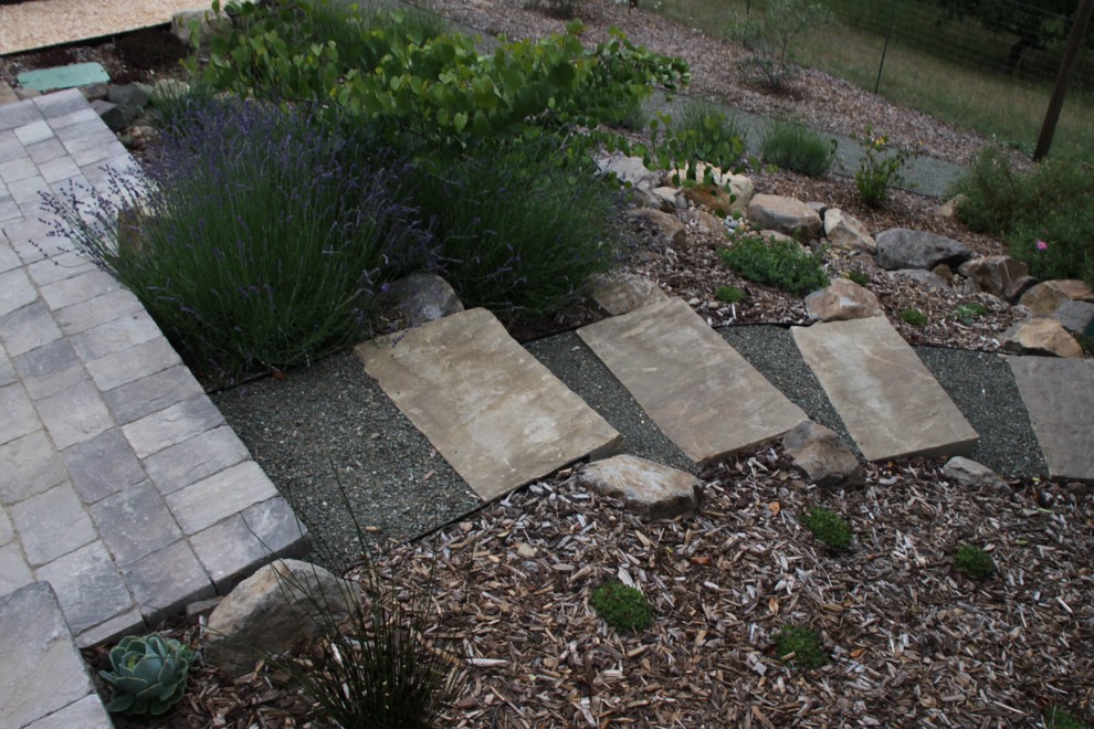 Immagine di un giardino xeriscape minimal esposto in pieno sole di medie dimensioni e dietro casa in estate con un ingresso o sentiero e ghiaia