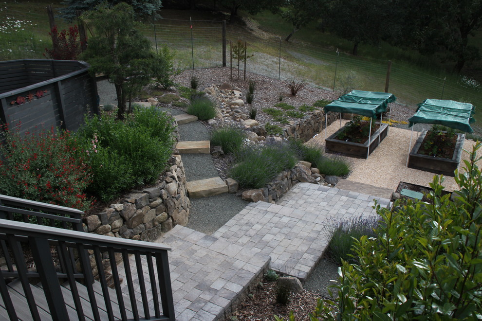 Ispirazione per un orto in giardino minimal esposto in pieno sole di medie dimensioni e dietro casa in estate con pavimentazioni in cemento
