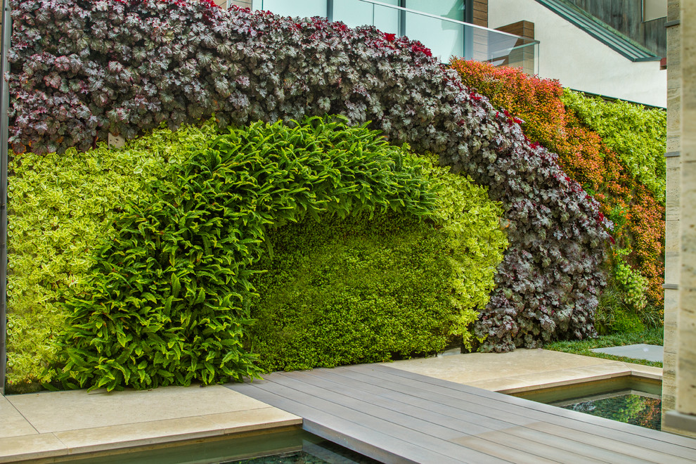 Diseño de jardín minimalista de tamaño medio en patio delantero con jardín francés, jardín vertical, exposición parcial al sol y adoquines de hormigón