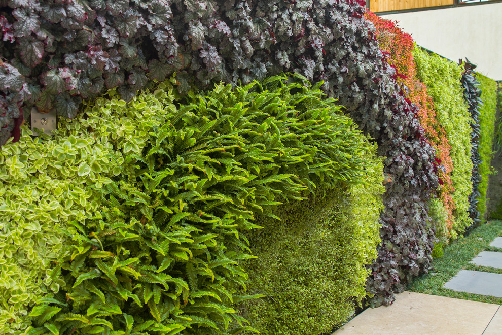 Inspiration for a medium sized modern front formal partial sun garden in Orange County with a living wall and concrete paving.