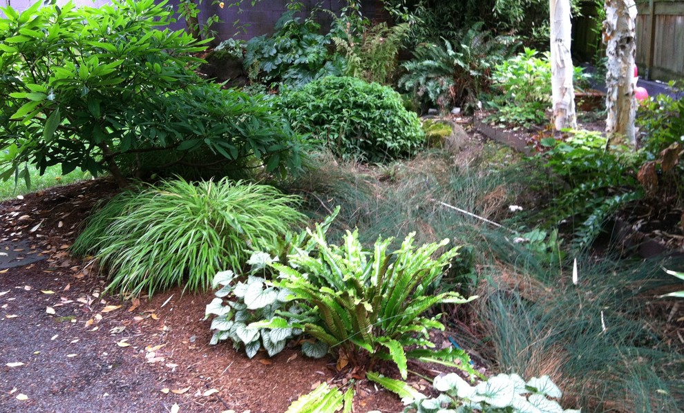 Photo of a contemporary garden in Portland.