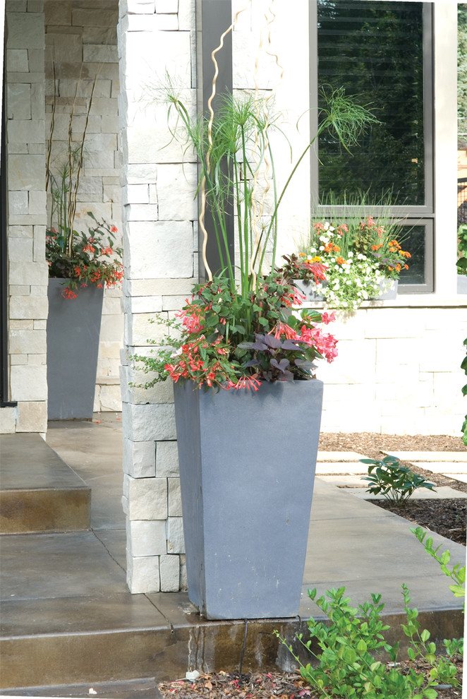 Foto di un giardino contemporaneo davanti casa con un giardino in vaso