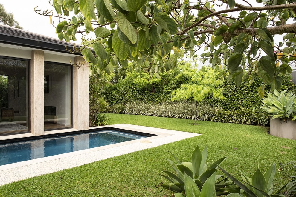 Стильный дизайн: большой солнечный, летний засухоустойчивый сад на заднем дворе в стиле модернизм с хорошей освещенностью и мощением тротуарной плиткой - последний тренд