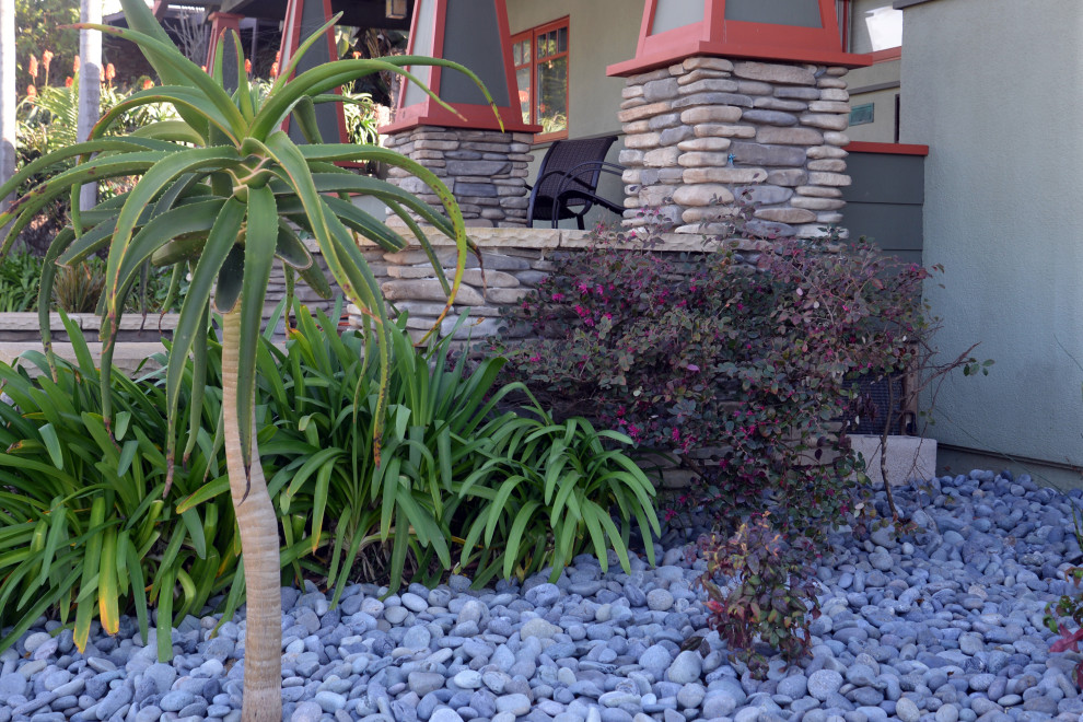 サンディエゴにある高級な中くらいなトラディショナルスタイルのおしゃれな庭 (ゼリスケープ、半日向、川石舗装) の写真