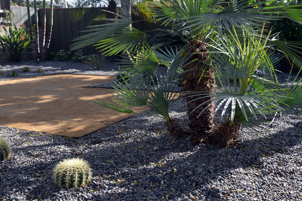 Идея дизайна: засухоустойчивый сад среднего размера на заднем дворе в стиле кантри с пустынными растениями, полуденной тенью и покрытием из гальки