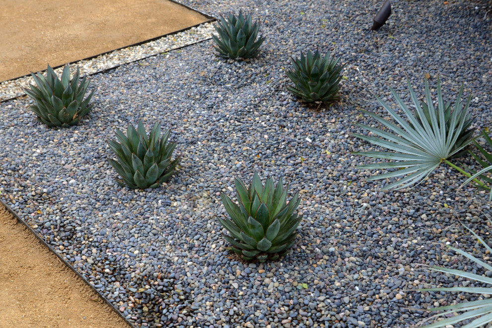 This is an example of a medium sized traditional back xeriscape partial sun garden in San Diego with a desert look and decorative stones.