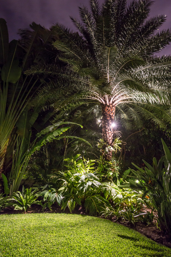 Immagine di un ampio giardino tropicale esposto in pieno sole dietro casa in estate con un ingresso o sentiero e pacciame
