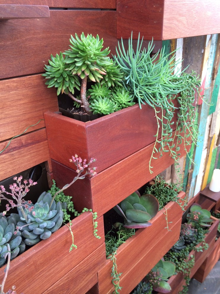 Пример оригинального дизайна: летний засухоустойчивый сад среднего размера на боковом дворе в современном стиле с растениями в контейнерах, полуденной тенью и мощением тротуарной плиткой