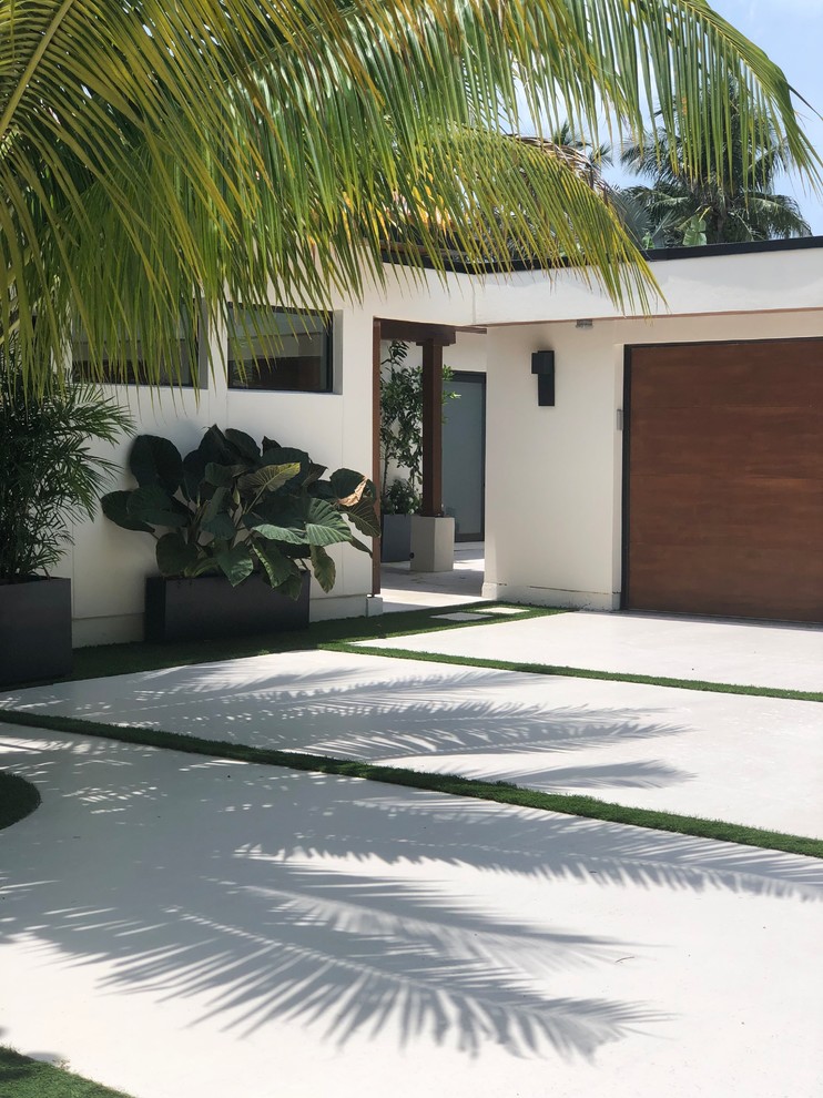 Halbschattiger Moderner Garten mit Auffahrt und Betonboden in Miami