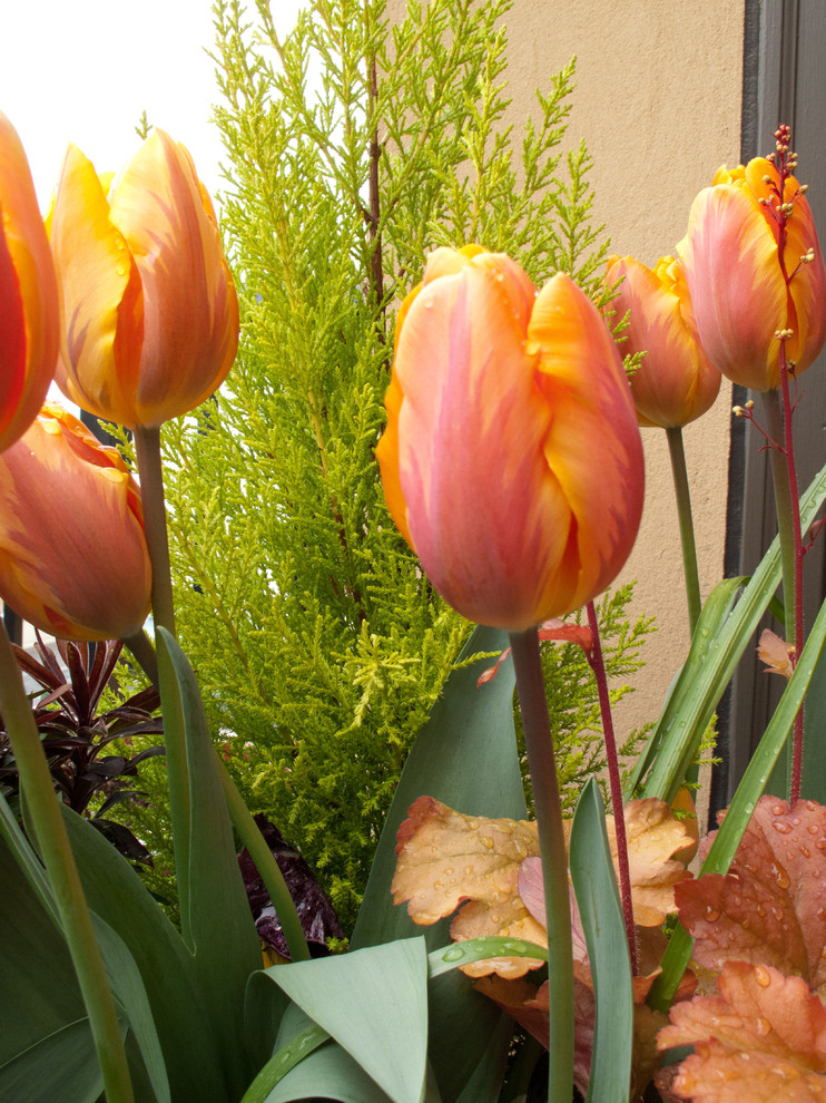 Inspiration for a traditional landscaping in Seattle.