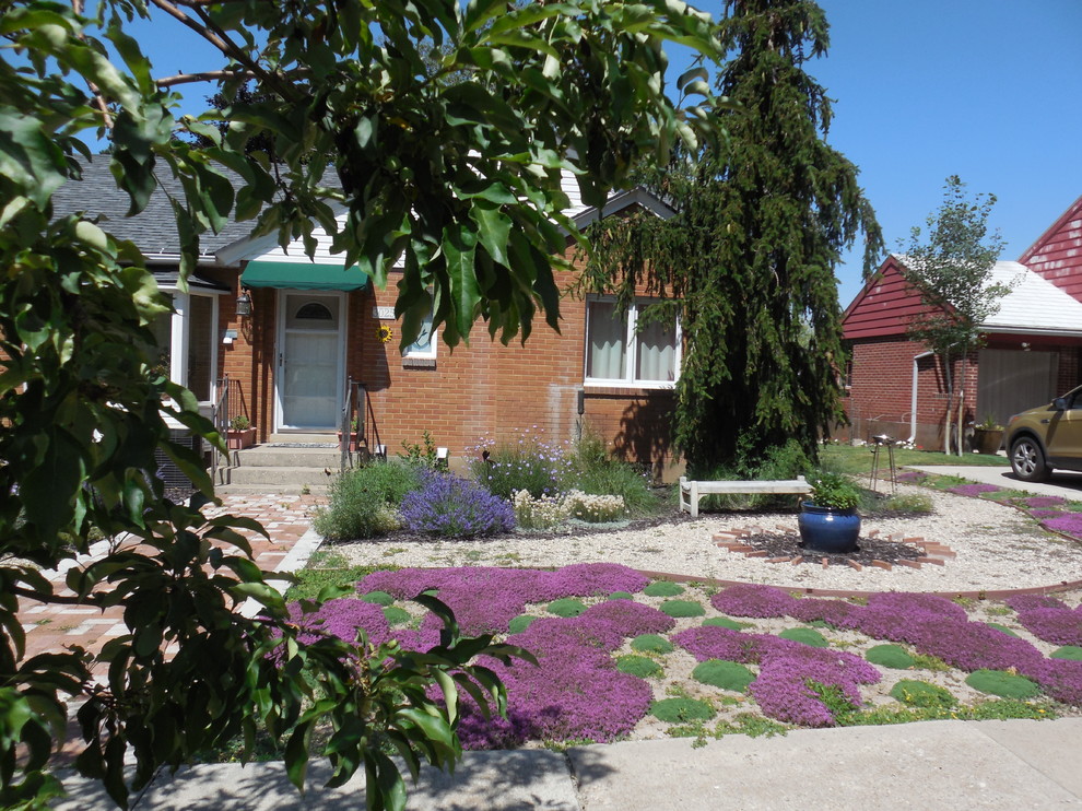 Foto di un piccolo giardino xeriscape boho chic esposto in pieno sole davanti casa in estate con un ingresso o sentiero e pavimentazioni in mattoni