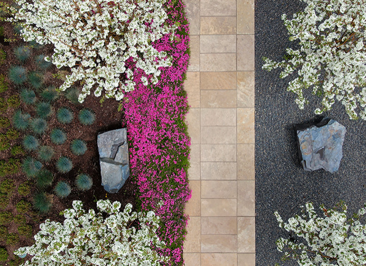 Foto di un giardino formale etnico esposto in pieno sole di medie dimensioni e dietro casa in primavera con sassi e rocce e pavimentazioni in pietra naturale