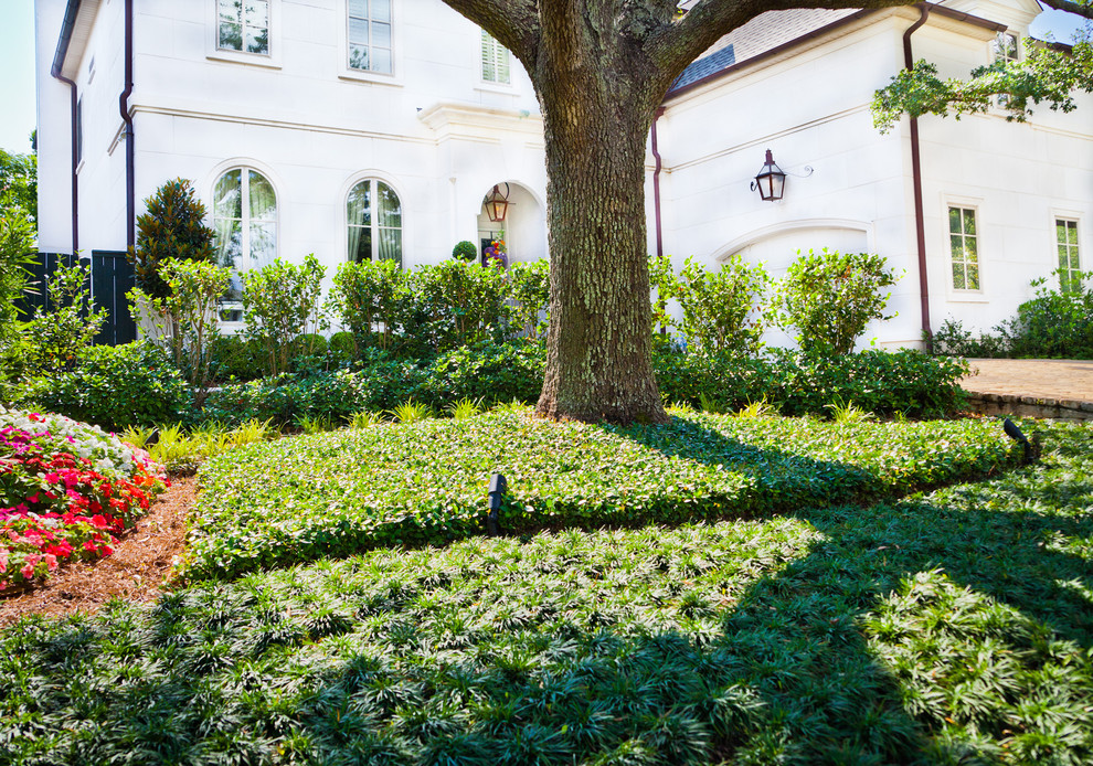 Traditional garden in New Orleans.