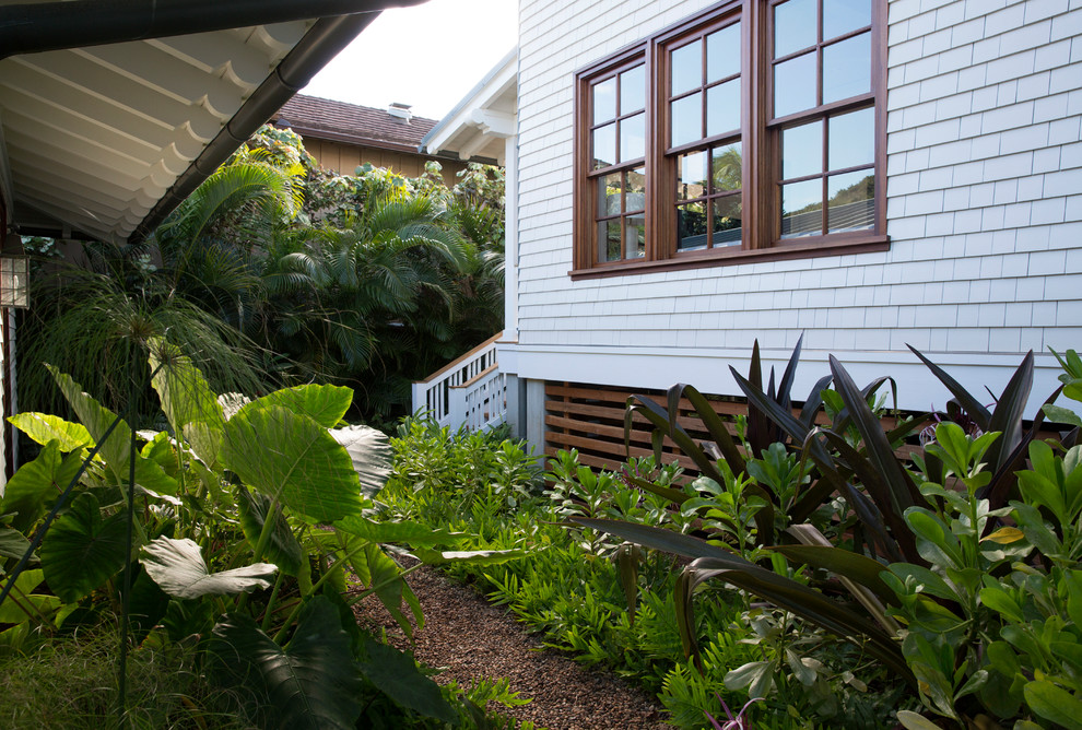 Aménagement d'un jardin latéral exotique l'été avec un paillis et une exposition partiellement ombragée.