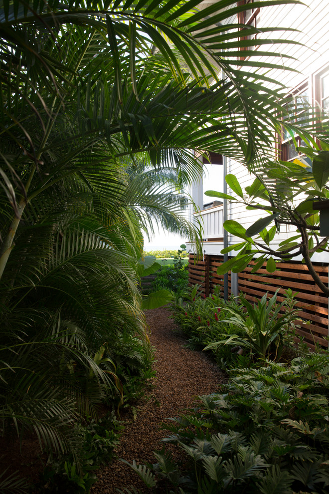 Foto di un giardino formale tropicale esposto a mezz'ombra nel cortile laterale in estate con un ingresso o sentiero e pacciame
