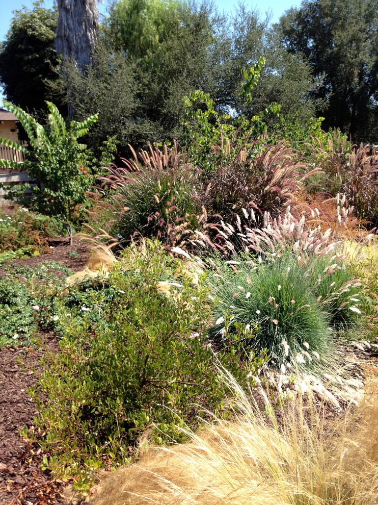 Inspiration for a large traditional full sun backyard mulch landscaping in San Diego.