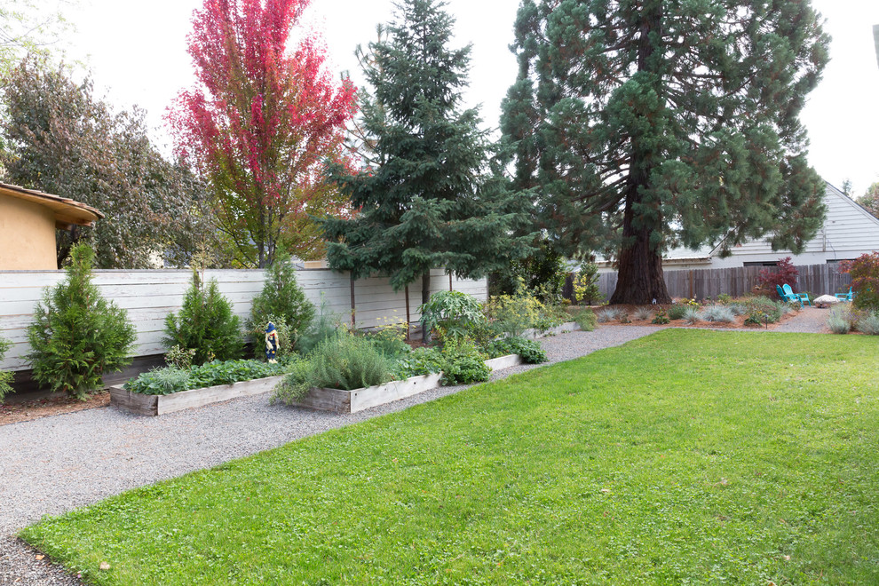 Inspiration for a mid-sized transitional drought-tolerant and full sun front yard gravel garden path in Other.
