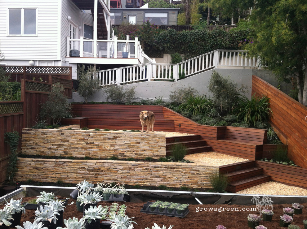 Foto di un grande giardino xeriscape minimalista esposto in pieno sole dietro casa con un muro di contenimento e ghiaia
