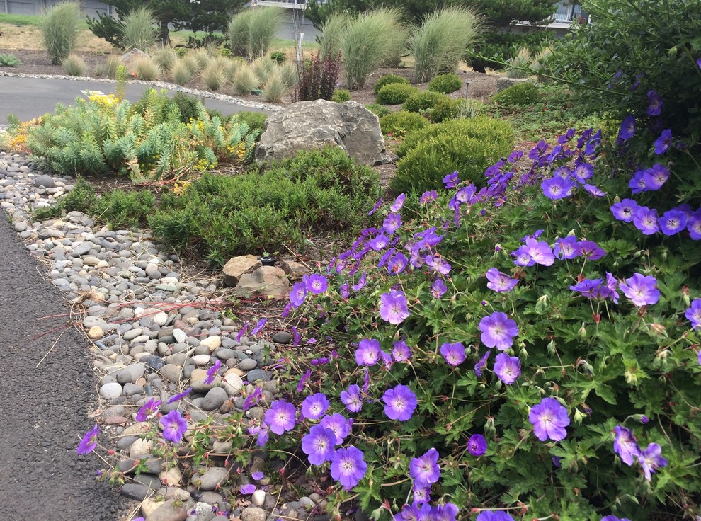 OREGON COAST Beach Style Landscape Portland by Seasons Garden Design LLC Houzz