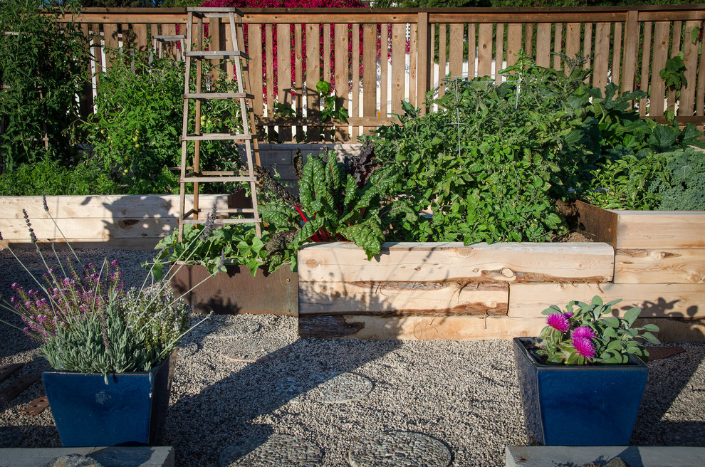 Organic Vegetable Garden Craftsman Landscape San Diego by Revolution Landscape Houzz