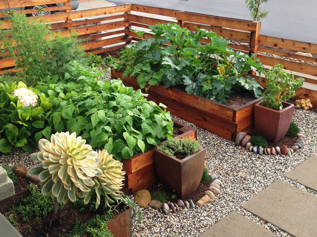 A Beginner's Guide to Urban Terrace Farming