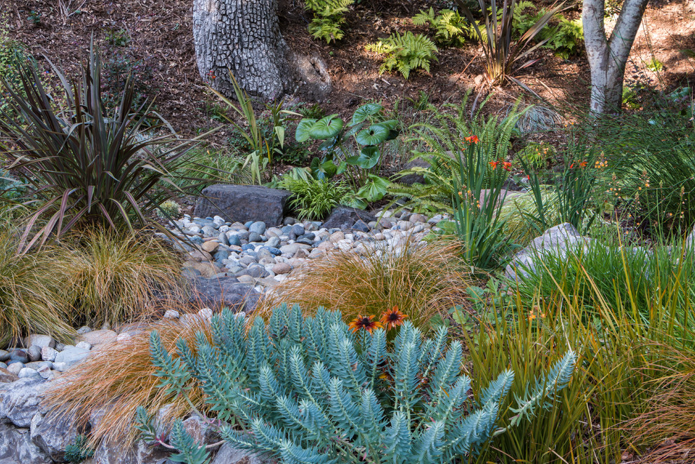 This is an example of a mid-sized traditional front yard stone landscaping in San Francisco.