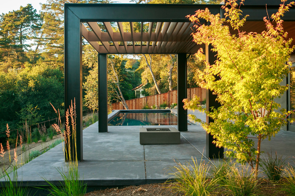 Diseño de jardín minimalista en patio trasero