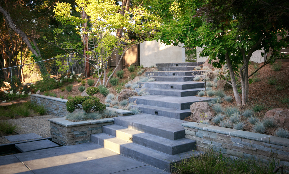This is an example of a modern front yard landscaping in San Francisco.