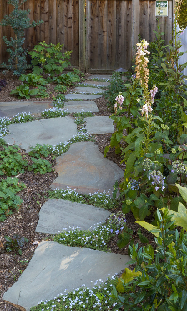 Kleiner Klassischer Gartenweg neben dem Haus mit Natursteinplatten in San Francisco