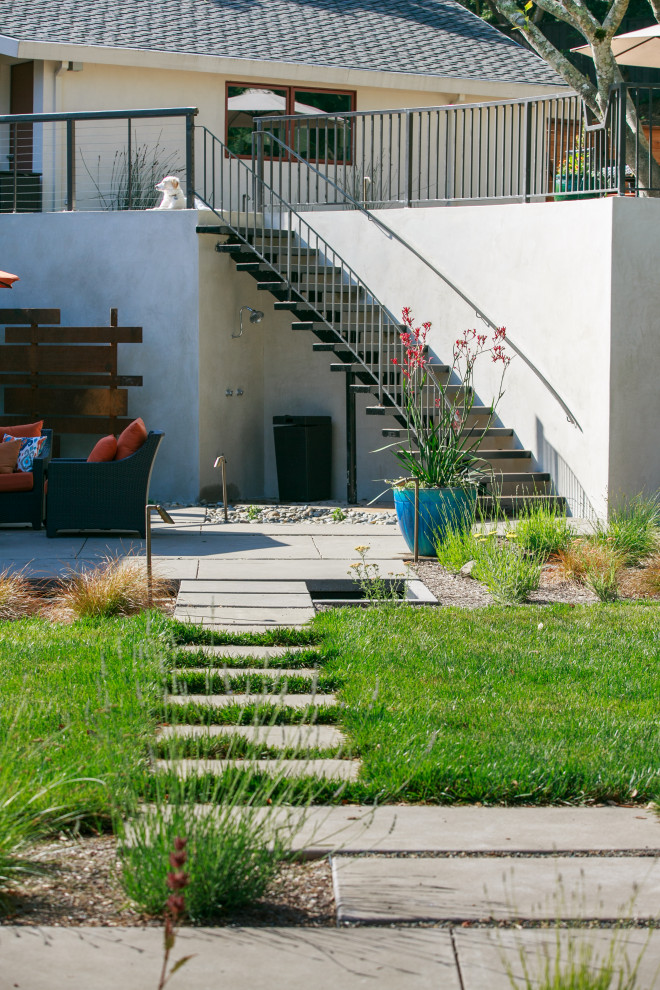 This is an example of a large modern backyard landscaping in San Francisco.