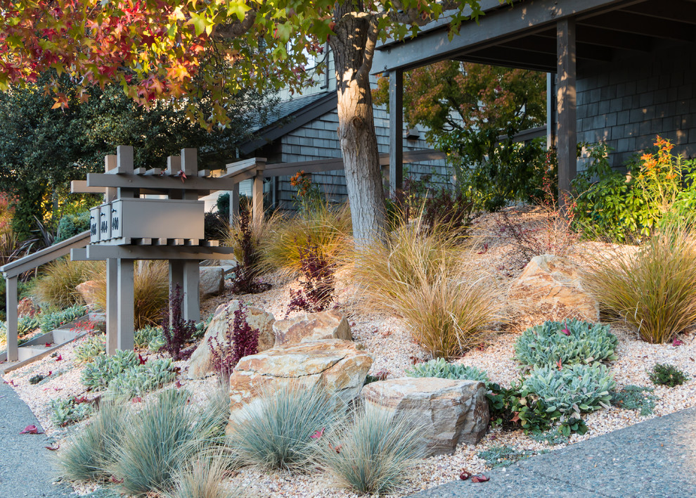 Diseño de jardín de secano clásico renovado de tamaño medio en patio delantero con gravilla