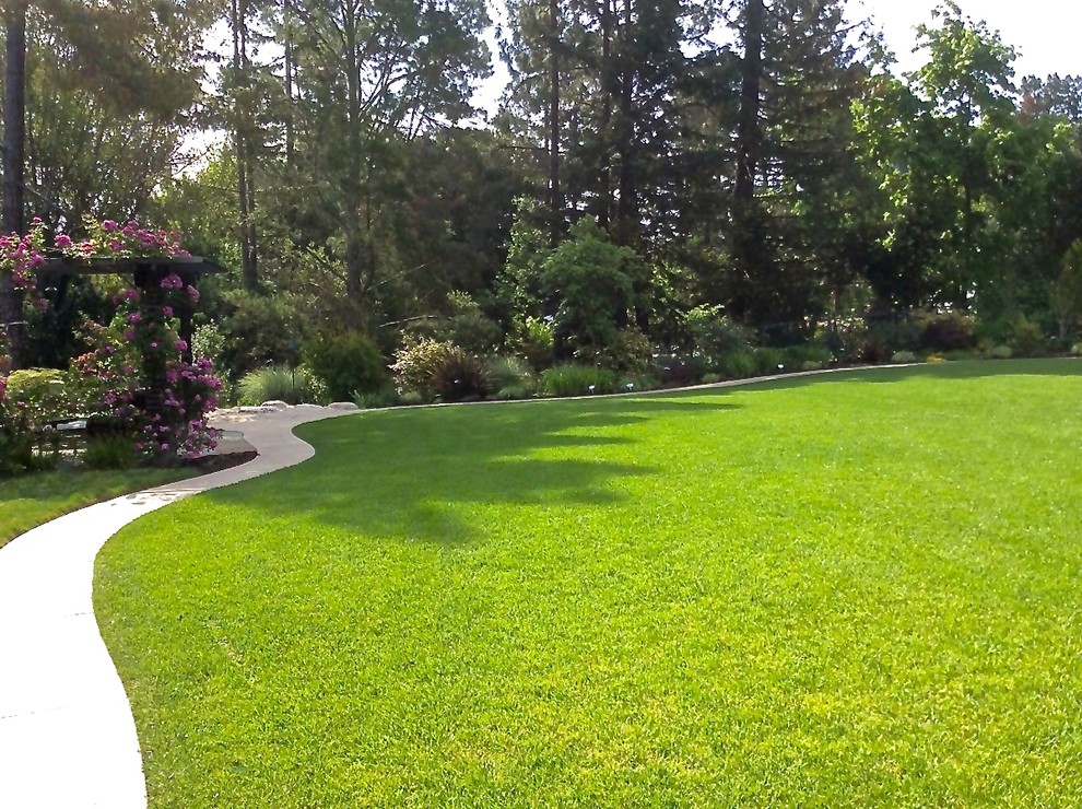 Großer Klassischer Garten im Frühling, hinter dem Haus mit Wasserspiel, direkter Sonneneinstrahlung und Natursteinplatten in San Francisco