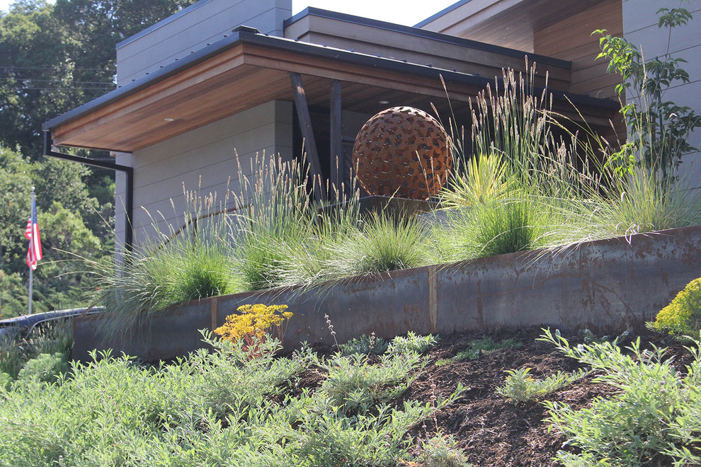 Idéer för mellanstora funkis trädgårdar i delvis sol som tål torka och framför huset på hösten, med en stödmur och marksten i betong