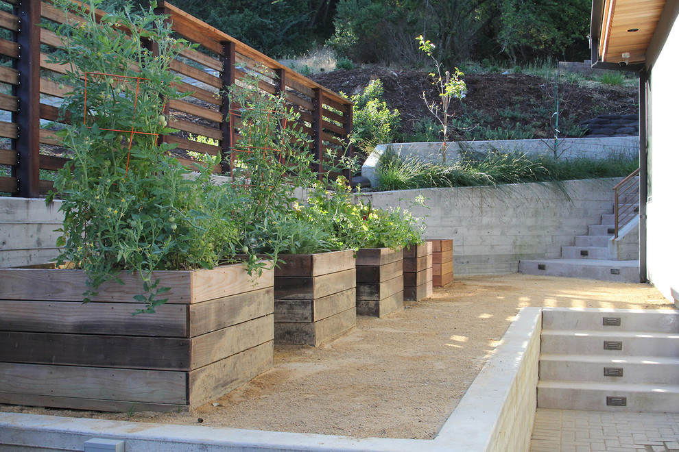 Medium sized modern front xeriscape partial sun garden for autumn in San Francisco with a retaining wall and gravel.