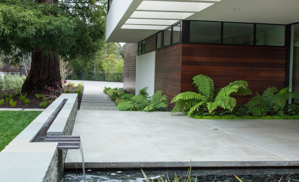 Ejemplo de jardín minimalista en patio delantero con fuente