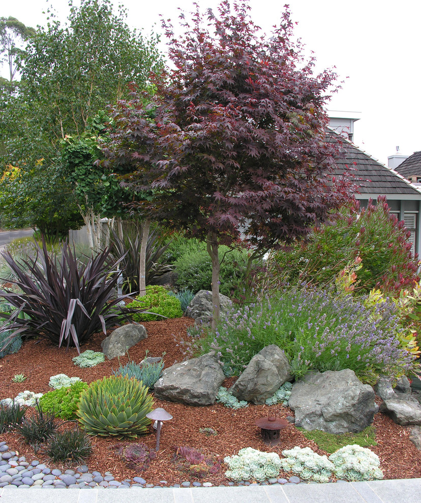 На фото: маленький весенний участок и сад на переднем дворе в стиле рустика с садовой дорожкой или калиткой, полуденной тенью и мульчированием для на участке и в саду