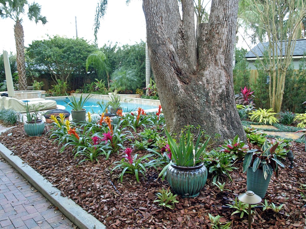 Orlando Florida Poolside Landscape Contemporary Landscape Orlando