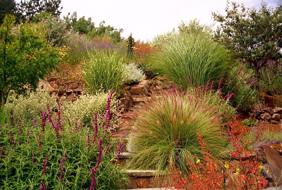 Ornamental Grasses Mediterranean Landscape San Francisco by