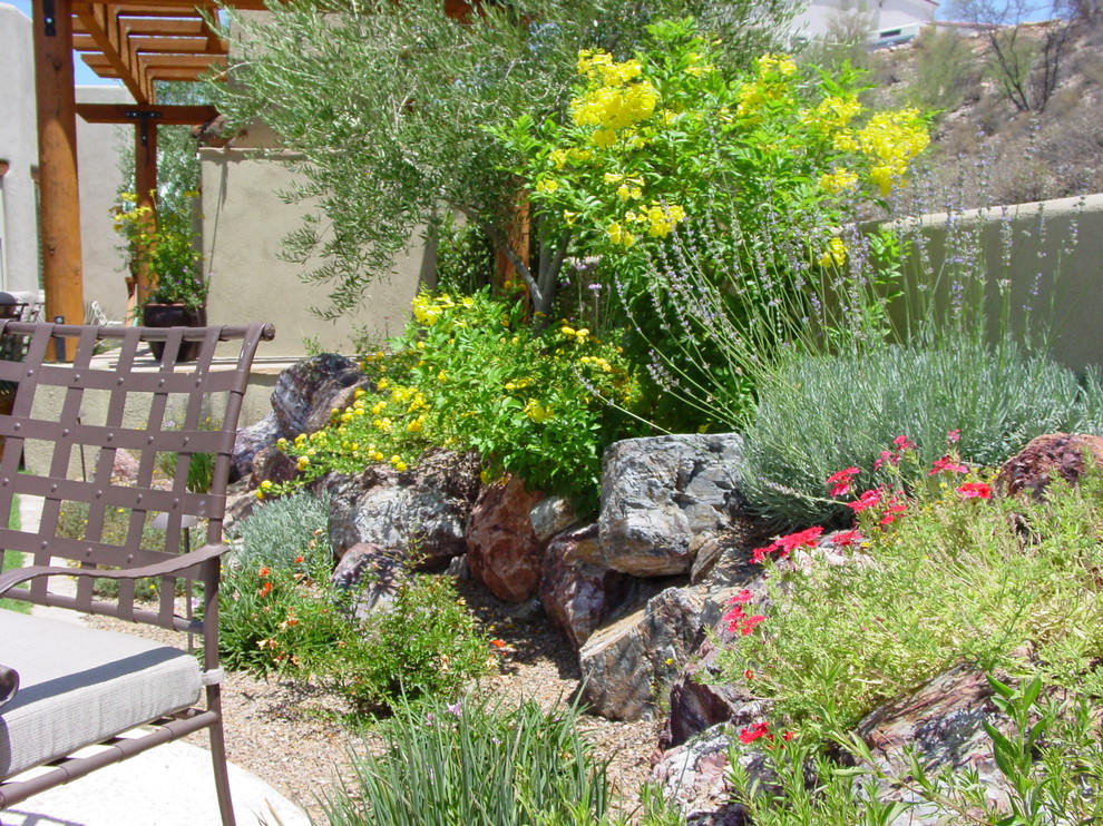 Modelo de jardín de secano actual de tamaño medio en verano en patio trasero con fuente, adoquines de hormigón y exposición total al sol