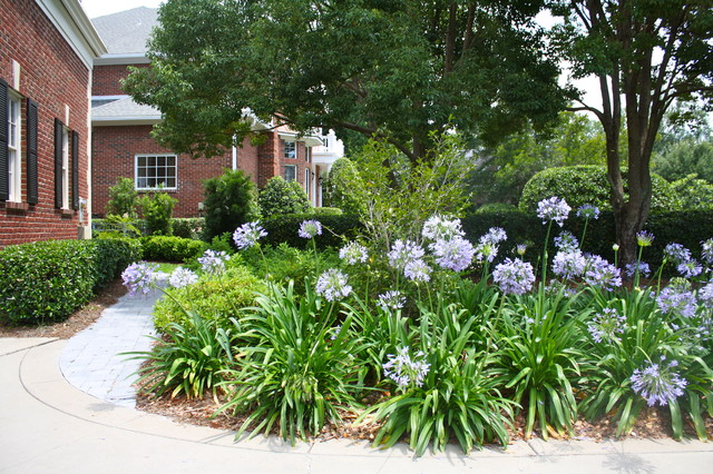 Ortega Island - Clásico - Jardín - Jacksonville - de Ross Garden Design |  Houzz