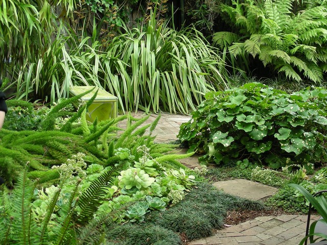 Easy Care Evergreen Plants And Combos, Evergreen Shade Garden Plans