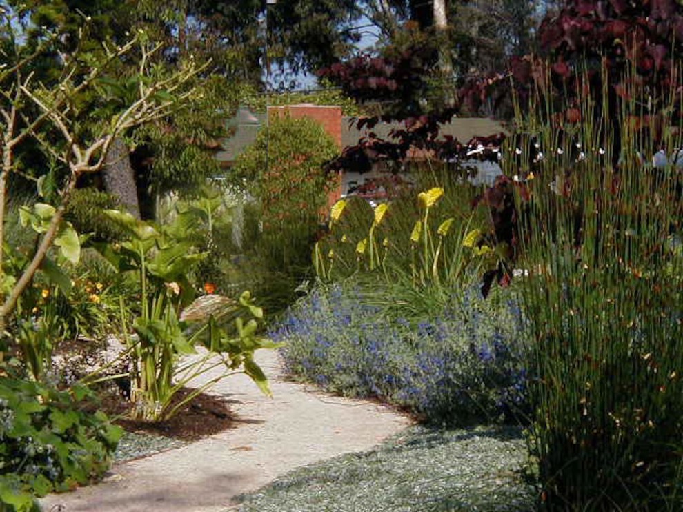 This is an example of a large eclectic full sun gravel garden path in Santa Barbara for summer.