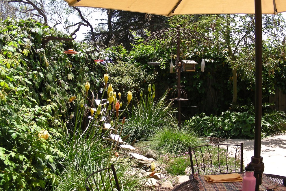 This is an example of a bohemian garden in Santa Barbara.