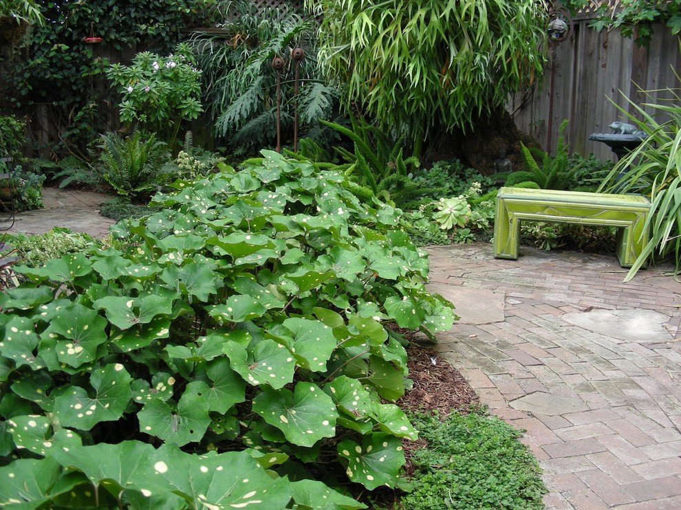 Large eclectic back formal partial sun garden in Santa Barbara with a garden path and brick paving.