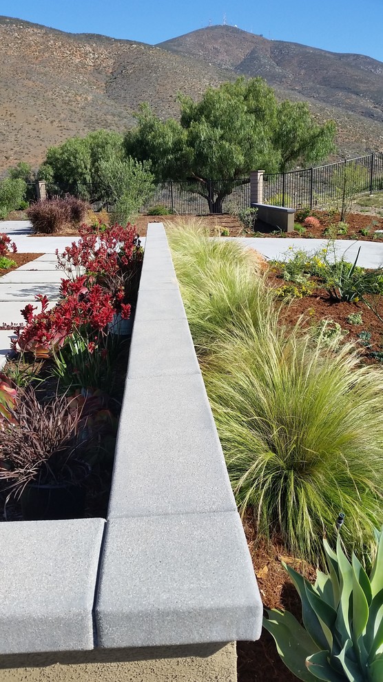 Idee per un grande giardino xeriscape mediterraneo esposto in pieno sole davanti casa con pavimentazioni in cemento