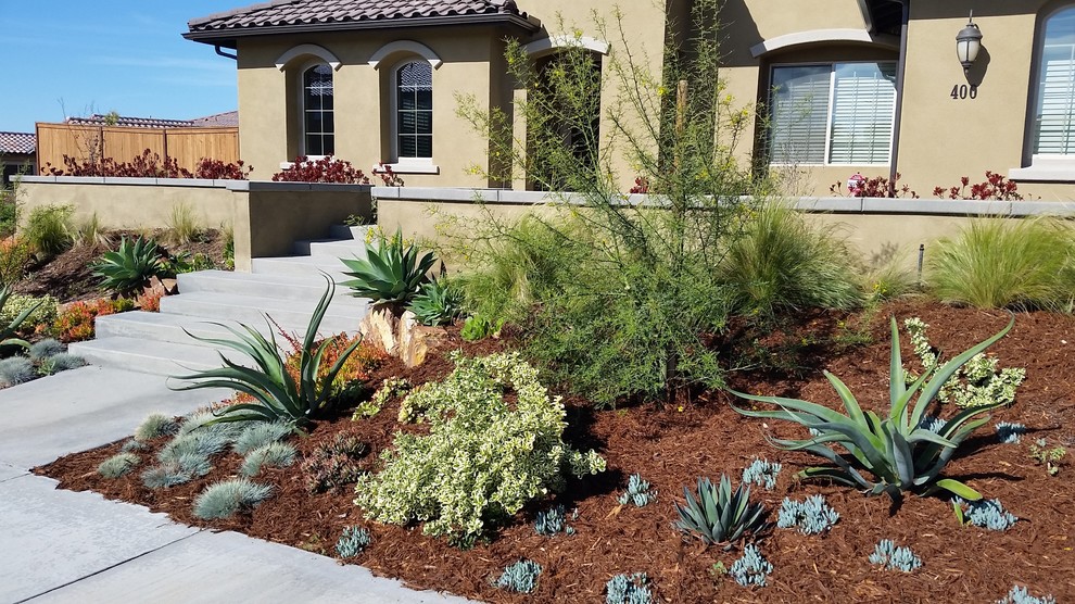 This is an example of a large mediterranean front xeriscape full sun garden in San Diego with concrete paving.