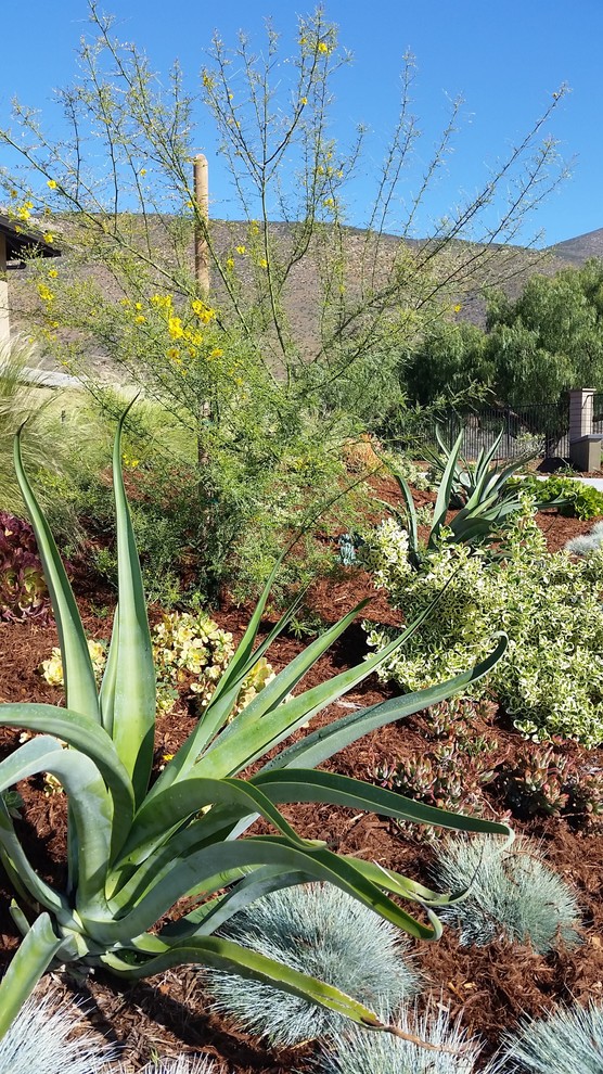 Imagen de jardín de secano mediterráneo grande en patio delantero con exposición total al sol y adoquines de hormigón